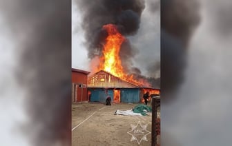 В Минском зоопарке сгорела конюшня — Видео