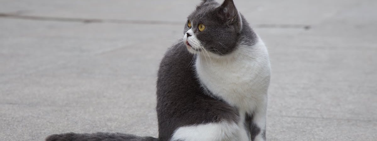 В Китае возмутились предоставленной США военной помощью Тайваню