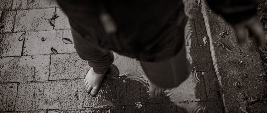 В Белыничском районе любопытный барсук залез в сарай сельчанки и застрял там. На помощь полосатому пришли люди