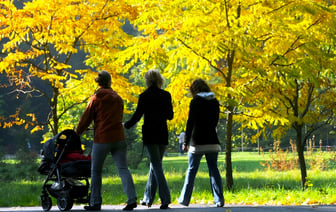 «Тепло пошло» — Синоптики пообещали белорусам «спасителя» с температурой до +11°С. А где ждать -5°С?
