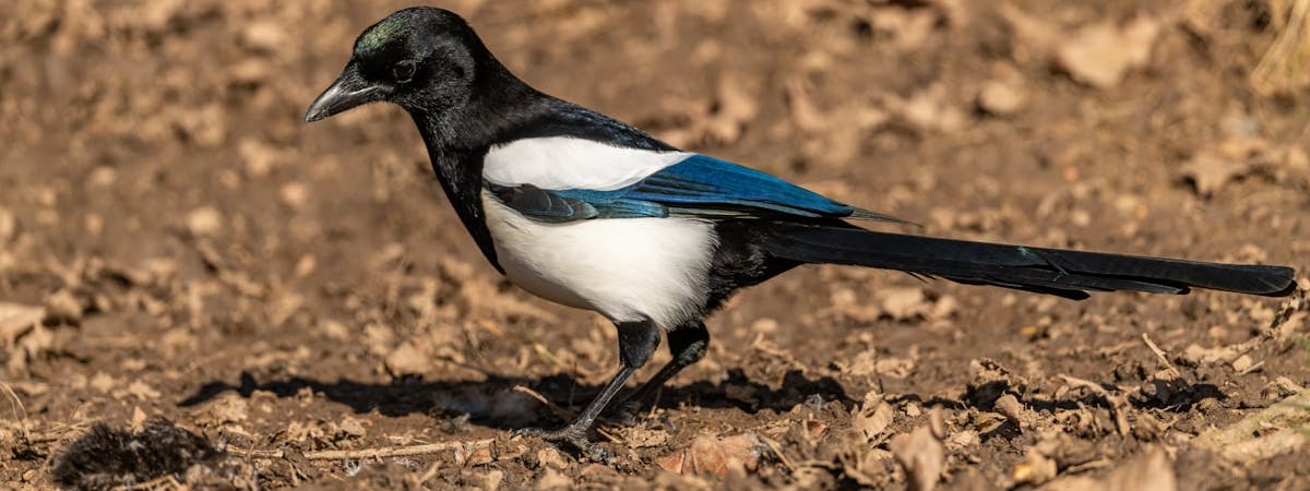 ЕФСР спрогнозировал замедление роста зарплат бюджетников в Беларуси. Почему?