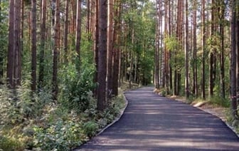 Садовое товарищество заасфальтировало дорогу и оказалось в суде