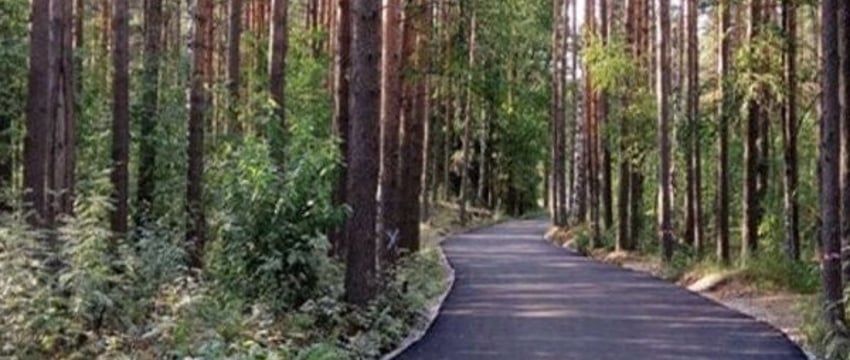 Садовое товарищество заасфальтировало дорогу и оказалось в суде