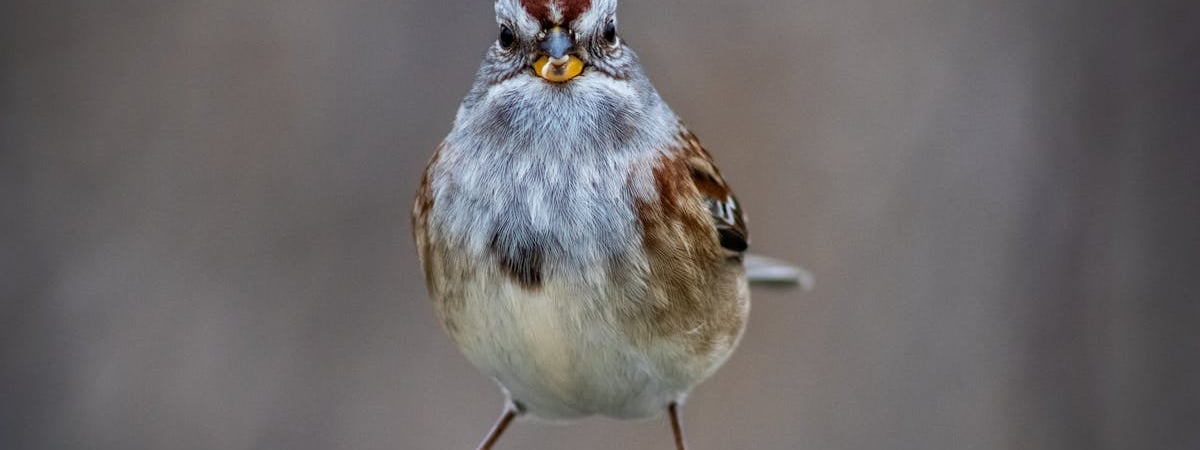 Критика госсекретаря США за гитарный джем в киевском баре