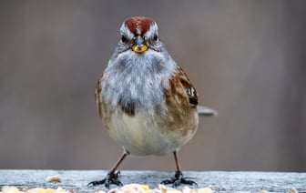 Критика госсекретаря США за гитарный джем в киевском баре