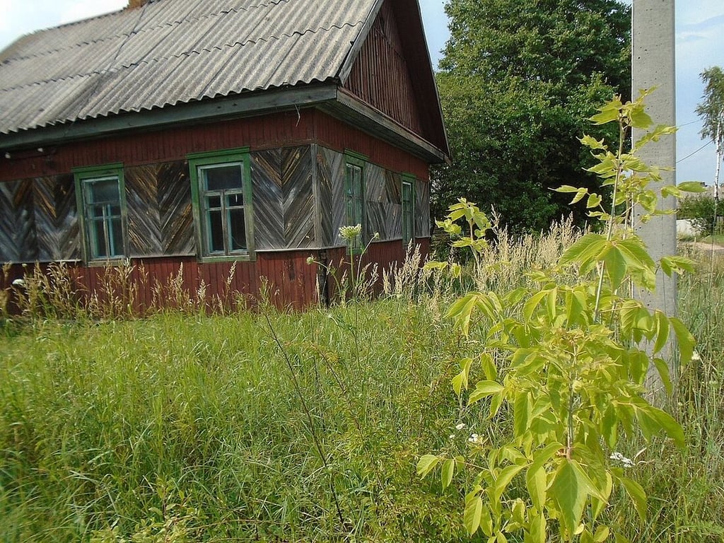 40 рублей за пустующую хату. Смотрим дома, которые еще сгодятся под дачу в деревне