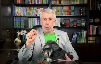 Что будет, если съесть собачий корм? Доктор Комаровский рассказал о последствиях — Полезно