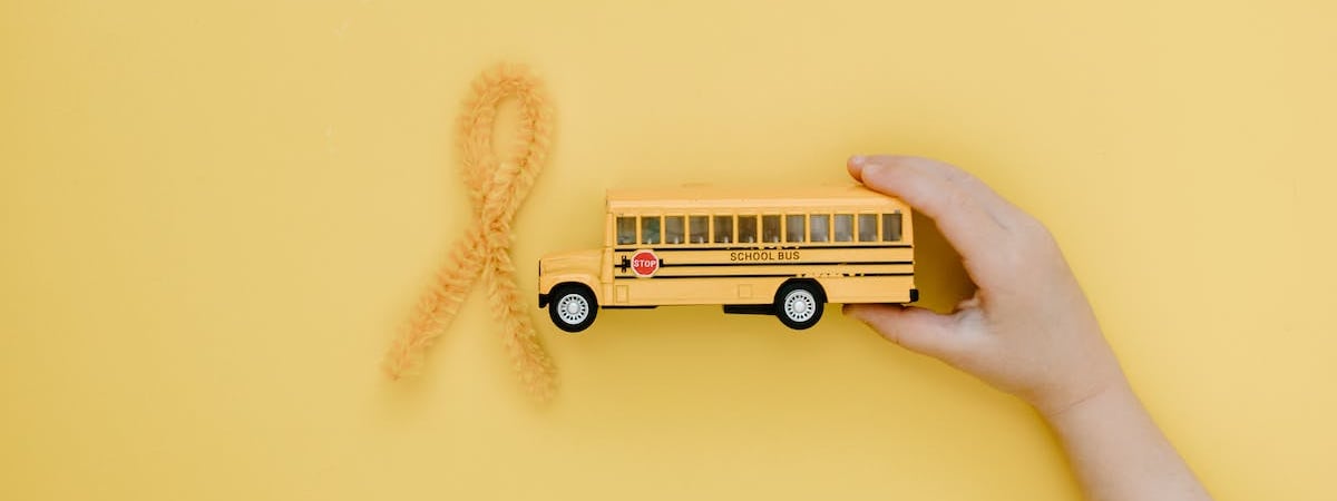 В беларуских школах появится факультатив «Мое отечество»