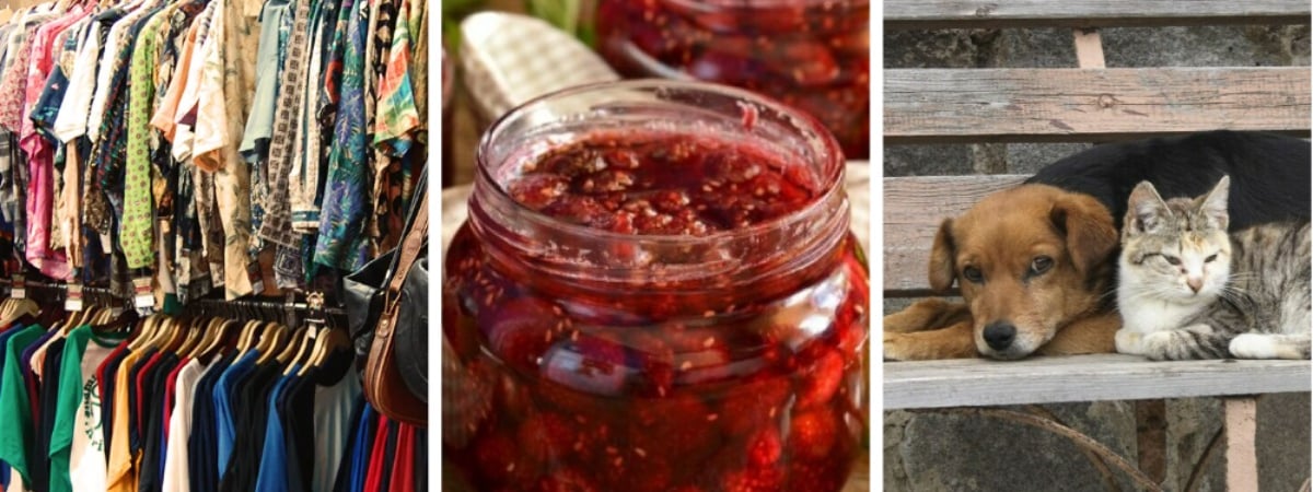 День секонд-хенда, малинового варенья и бездомных животных. Какие еще праздники отметить белорусам с 12 по 18 августа? — Полезно