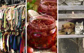 День секонд-хенда, малинового варенья и бездомных животных. Какие еще праздники отметить белорусам с 12 по 18 августа? — Полезно