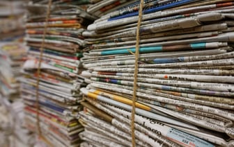 В Беларуси понизили охранный статус зубров, медведей и рысей