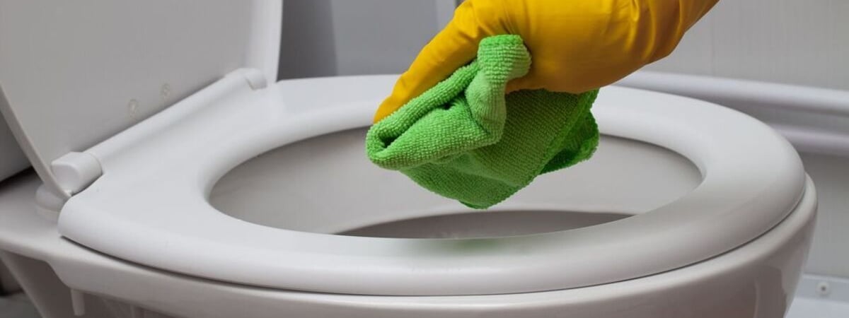 Как отмыть сиденье унитаза от желтизны? Вот какие 6 средств заменят агрессивную химию — Полезно