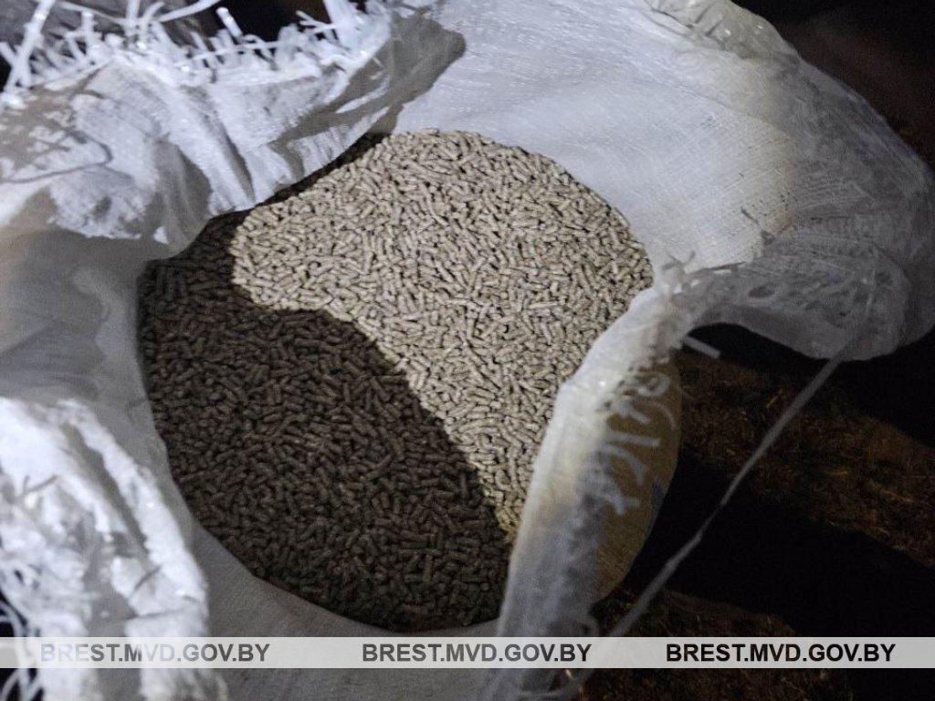 В Брестской области сотрудники ГАИ остановили Audi, которая имела сильный провес. Вот что было в багажники