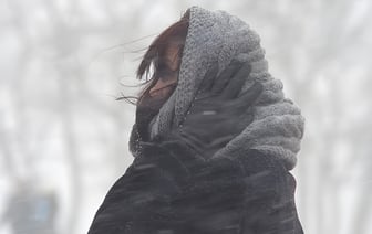 В Витебске выпал первый снег, но он растаял