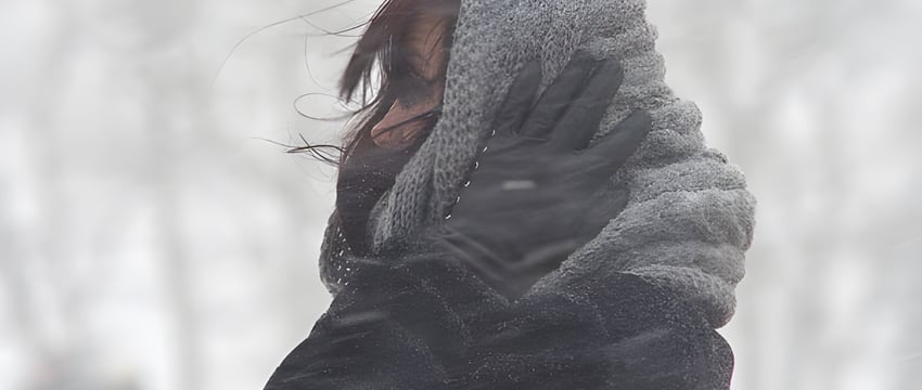 В Витебске выпал первый снег, но он растаял