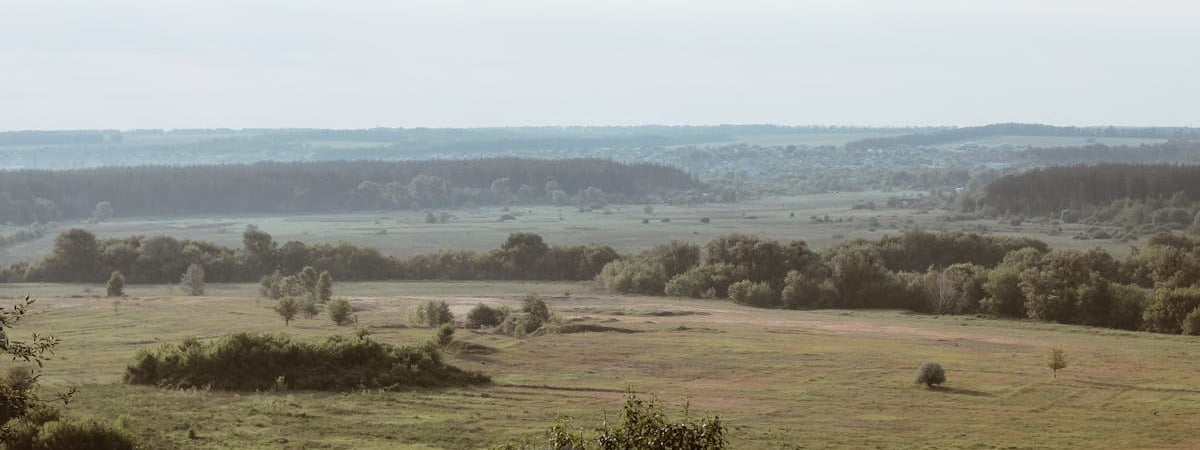 В Украине таможню ожидает реформа