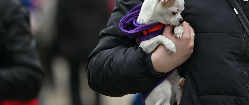 Выходные в Гомеле. Куда сходить 30-31 марта?