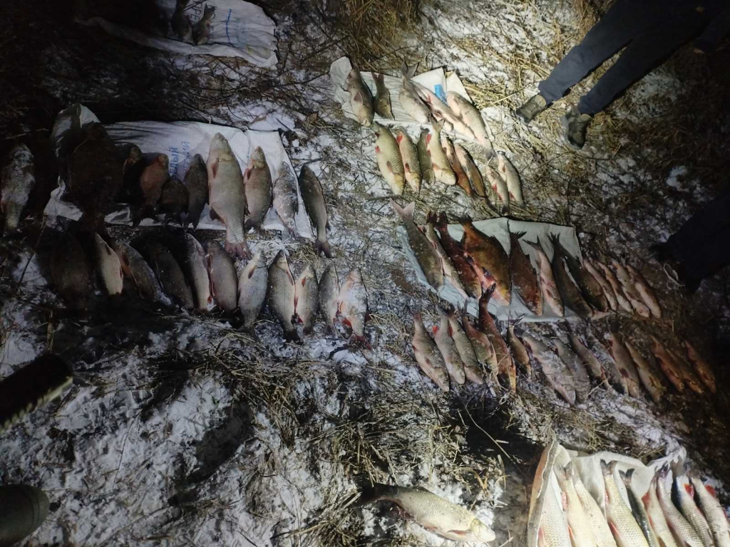 Почти на 10 000 долларов оценен улов браконьеров в Оршанском районе