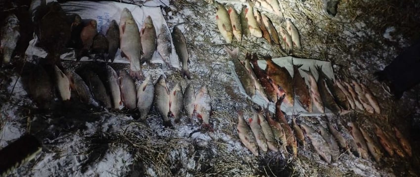 Почти на 10 000 долларов оценен улов браконьеров в Оршанском районе