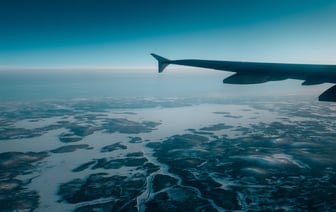 Как спасти помидоры в жару? Эта домашняя подкормка из 3 ингредиентов укрепит томаты и не допустит фитофтороза — Полезно