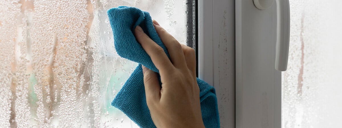 Эти 3 доступных средства из вашей кухни избавят от запотевших окон. А чем помогут коты? — Полезно