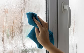 Эти 3 доступных средства из вашей кухни избавят от запотевших окон. А чем помогут коты? — Полезно