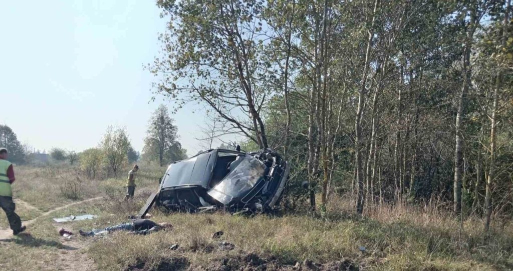 Легковушка под Ляховичами вылетела в кювет – двое погибших