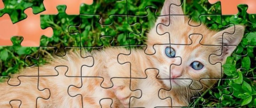 Этот день в истории – 13 июля