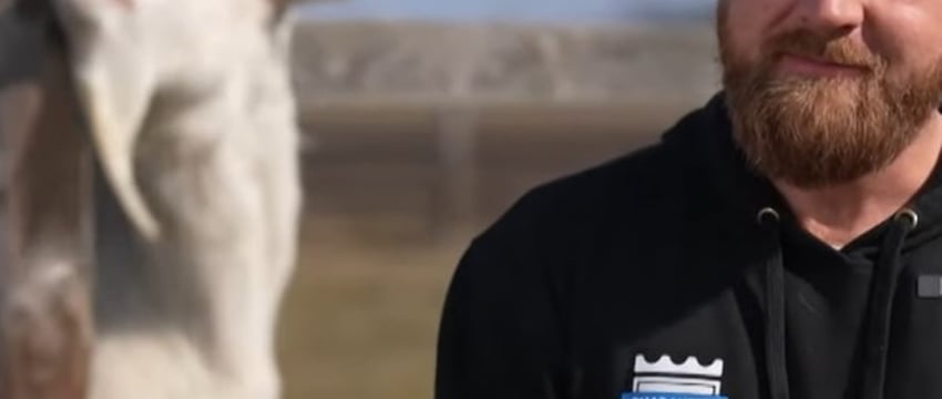 Белорус под Кобрином построил ферму для старых и спасенных животных