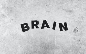 «Ждать было нельзя». Риторические формулы Путина не выдерживают критики