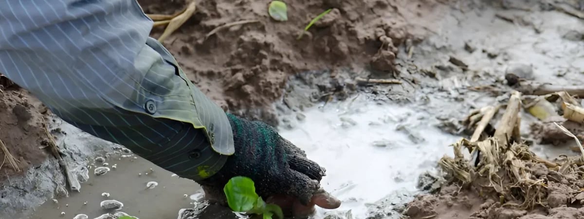 Эту обработку огорода нужно обязательно сделать осенью. Тогда урожай будет обильнее — Полезно