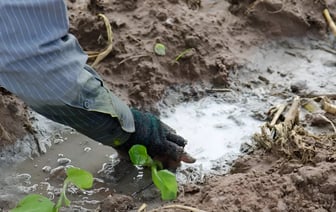 Эту обработку огорода нужно обязательно сделать осенью. Тогда урожай будет обильнее — Полезно