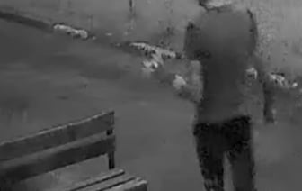 «Пришел ровно в 4 утра». «Романтик с большой дороги» оставил многоэтажку без лилий