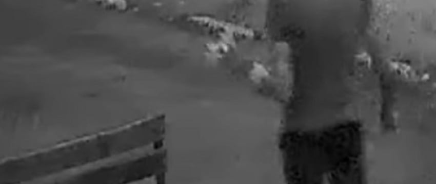 «Пришел ровно в 4 утра». «Романтик с большой дороги» оставил многоэтажку без лилий