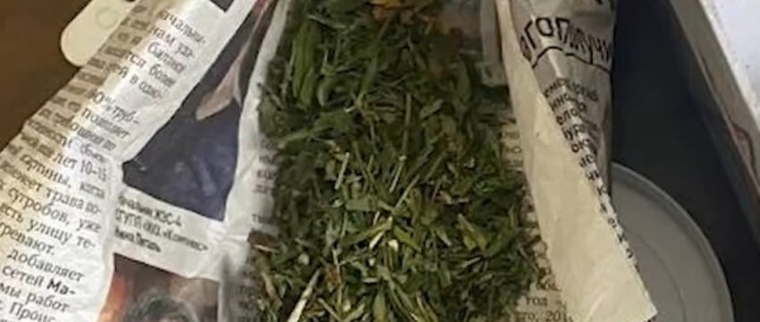 Владелец СТО принял травку в качестве оплаты за ремонт. Чем все закончилось