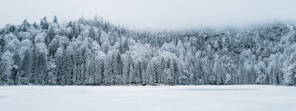 Около 280 пострадавших от урагана получили в Беларуси от соцслужб помощь