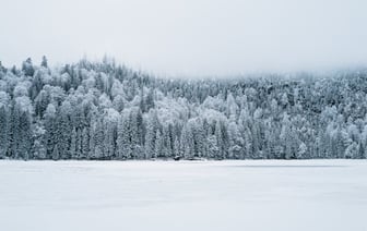 Около 280 пострадавших от урагана получили в Беларуси от соцслужб помощь