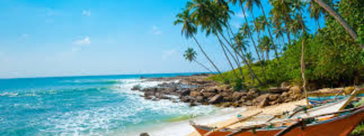 Шри-Ланка ввела безвизовый режим для граждан Беларуси