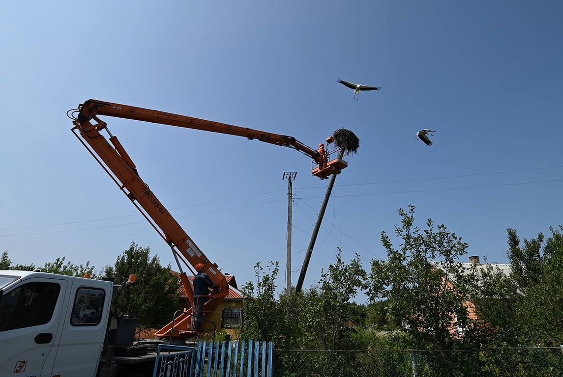 Энергетики Брестской области после бури установили специальные конструкции для лишившихся гнезд аистов