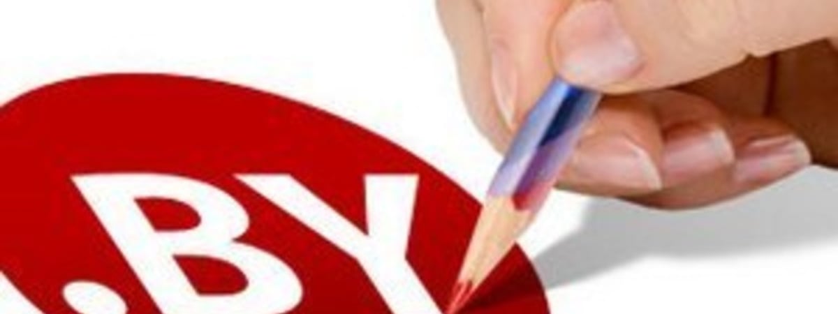 Беларусь может потерять право администрировать доменную зону BY — iSANS