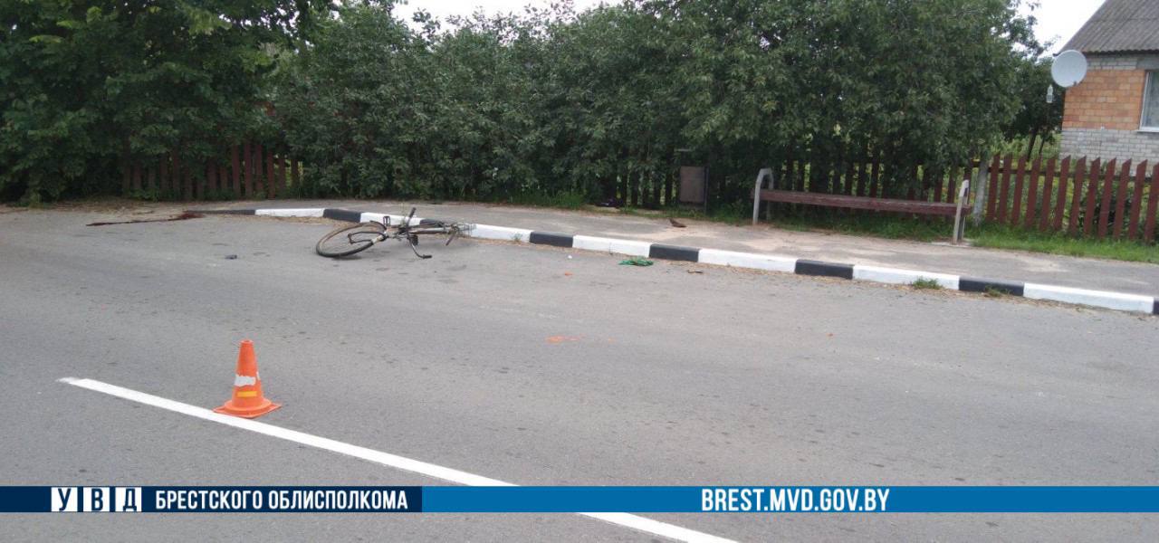 В Каменецком районе житель Бреста сбил велосипедистку