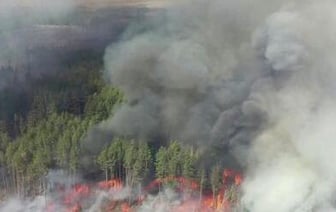 В Украине горят чернобыльские леса, грозит ли радиация Беларуси?