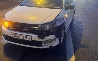 Выпавшая из-под авто кошка стала причиной ДТП на МКАД
