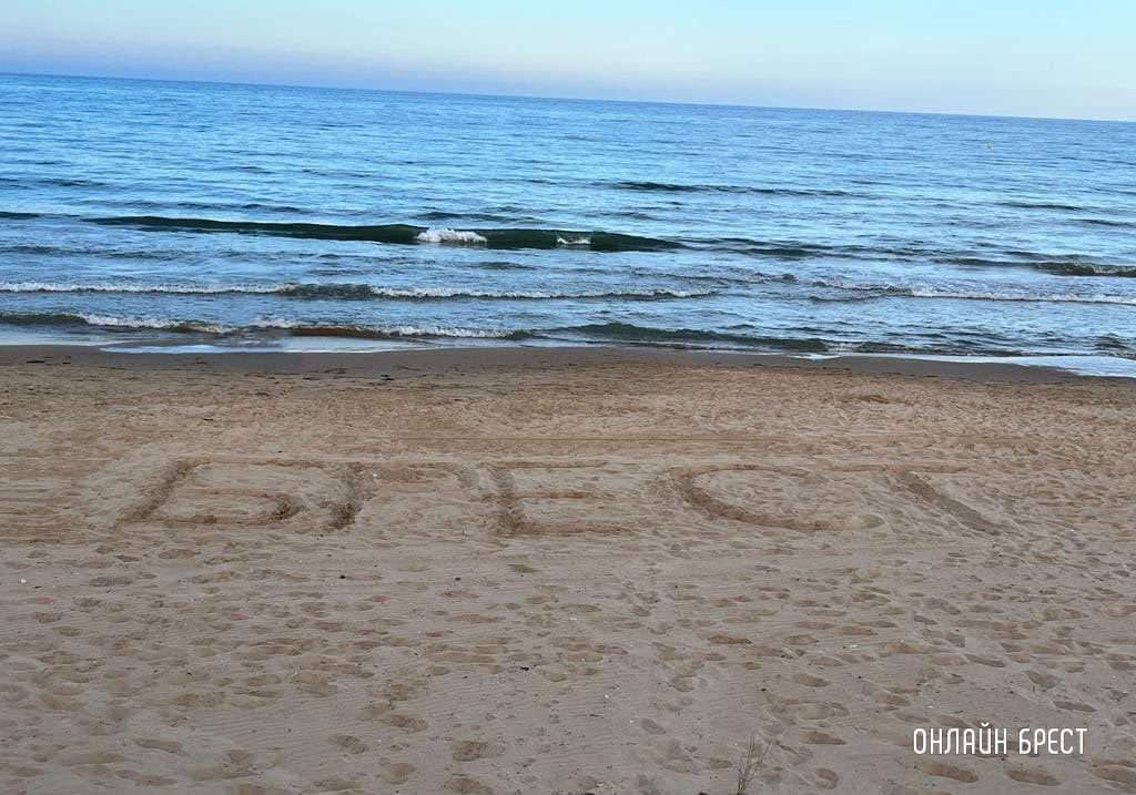 Фото носит иллюстративный характер