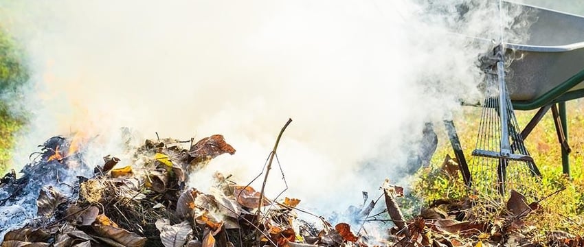 Сжигать нельзя. В Гомеле экологи рассказали, что делать с растительным мусором