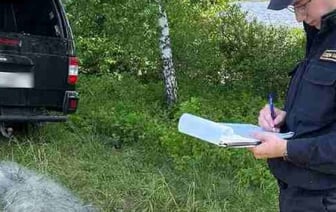 Пойманы браконьеры в Столинском районе