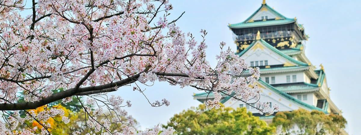 Япония расширила санкции против РФ