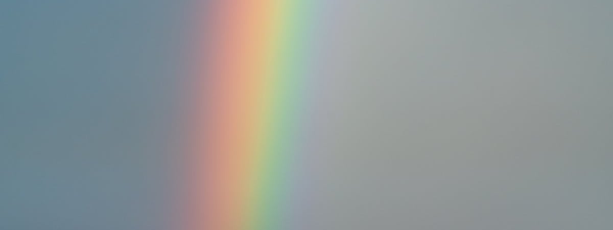 Следственный комитет открыл спецпроизводство на футбольного фаната из Минска