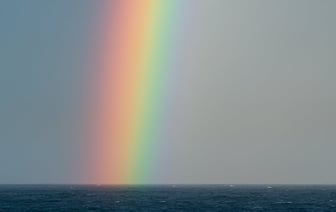 Следственный комитет открыл спецпроизводство на футбольного фаната из Минска