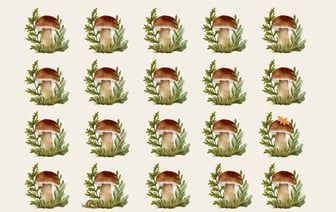 Лучшие решают эту грибную головоломку за 10 секунд. Напрягите зрение и найдите 3 отличия — Полезно